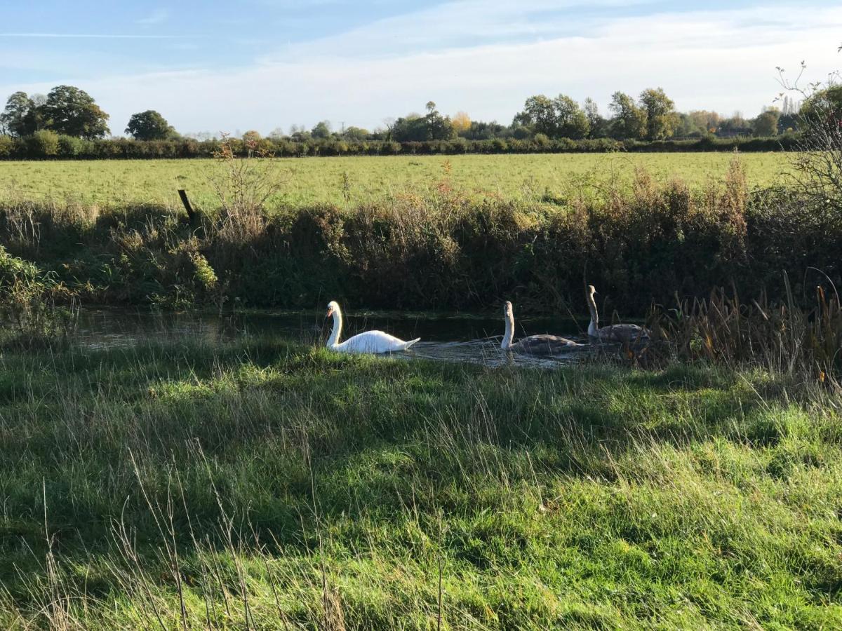 Tupenny Cottage, Old Mill Farm, Cotswold Water Park Cirencester Luaran gambar